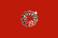 遵义市绥阳县回收红酒